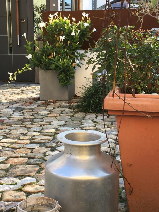 Schmuckkaestle Am Hafen Appartement Wiesbaden